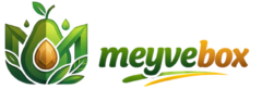 logo meyvebox website