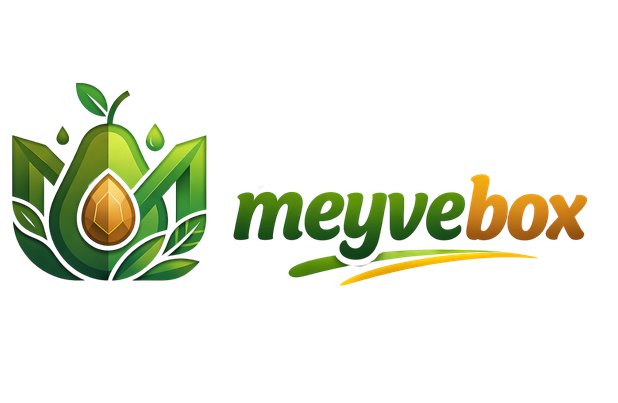 logo meyvebox website